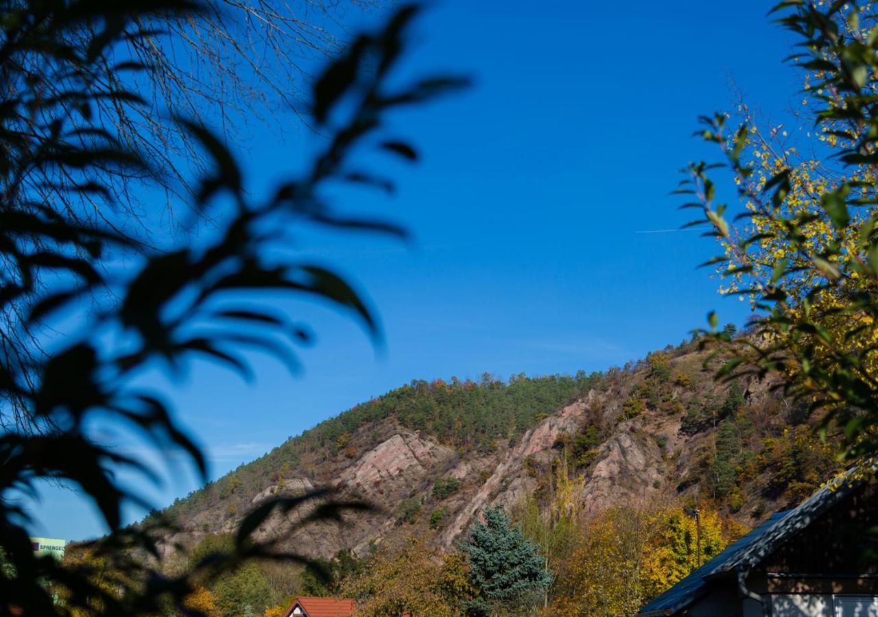 Hotel & Ferienwohnungen Bohlenblick Saalfeld Saale 외부 사진