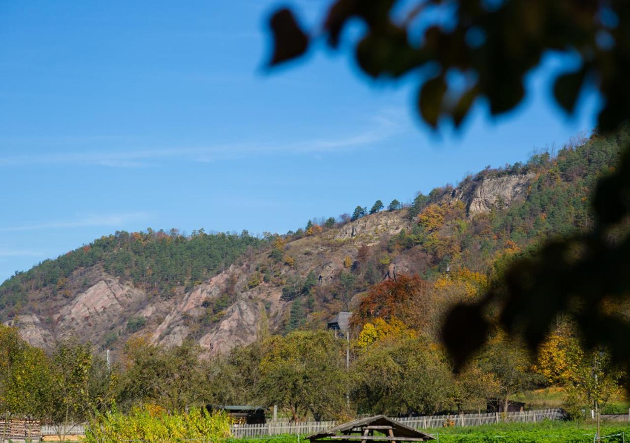 Hotel & Ferienwohnungen Bohlenblick Saalfeld Saale 외부 사진